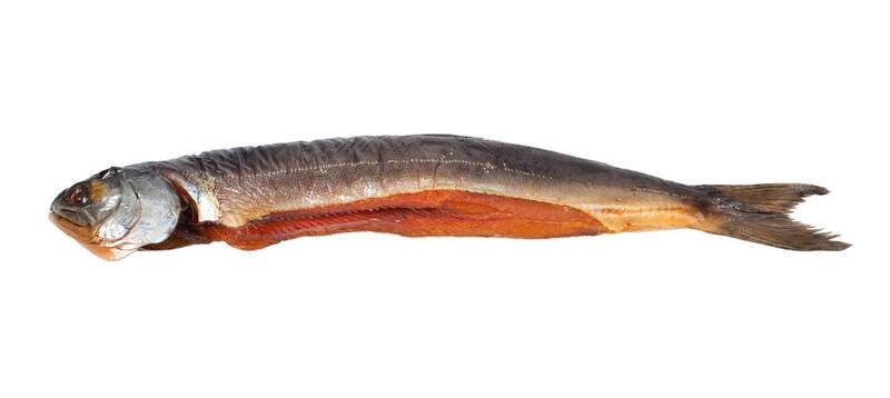 鮭魚