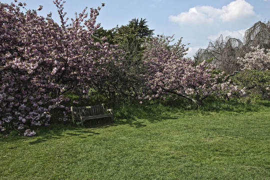公園景觀。