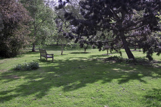 公園景觀。
