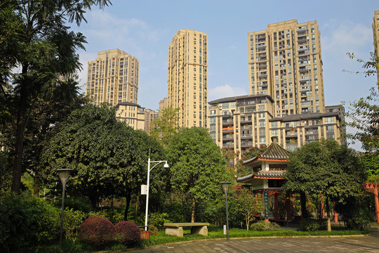 小區(qū)綠化