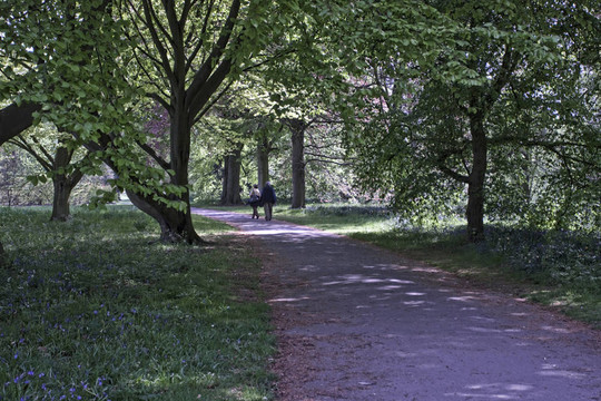 公園景觀。