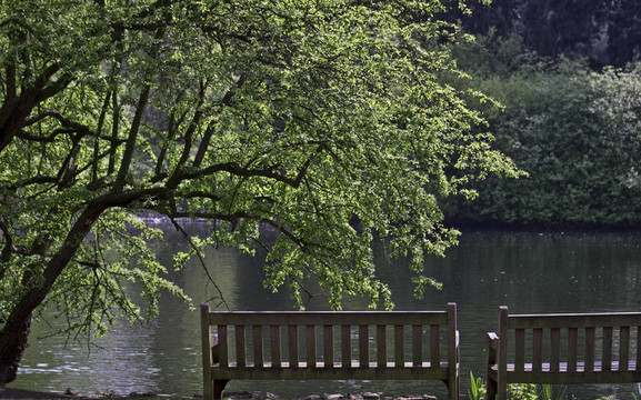 公園景觀。