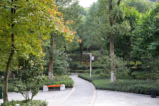 公園
