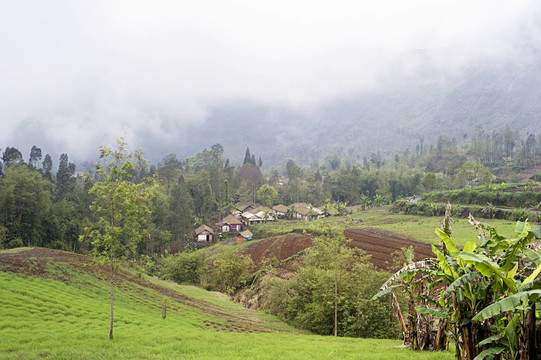 山峰村