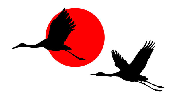 天空中鶴的插圖