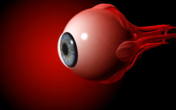 眼