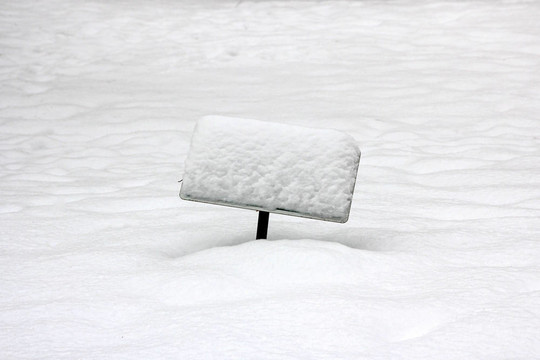 在一場雪的跡象了