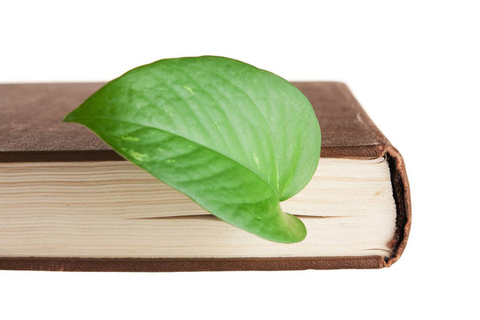 書(shū)中的綠葉書(shū)簽