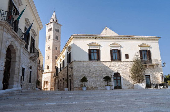 Trani的全景。Apulia。