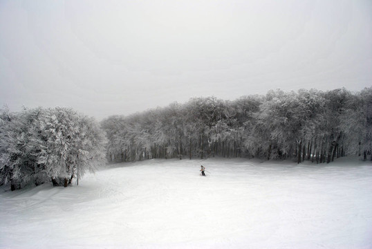 孤獨(dú)的滑雪者