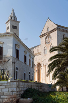 大教堂。Trani。Apulia。