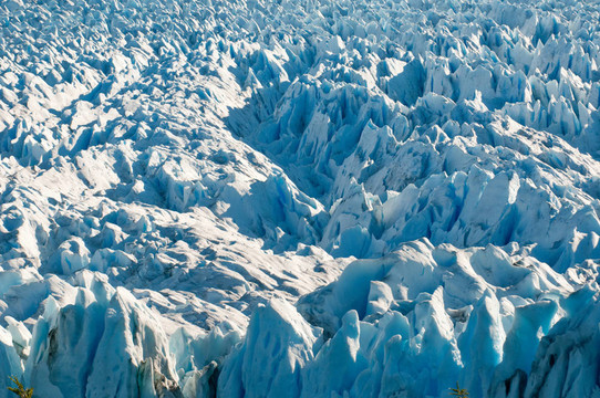 Perito Moreno Glacier；巴塔哥尼亞；阿根廷