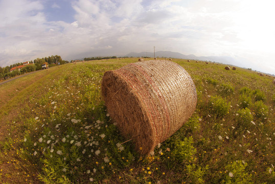 haybale；托斯卡納