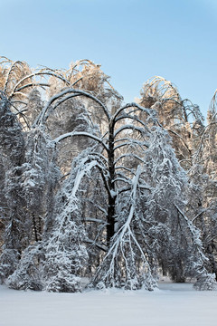 在暴風(fēng)雪。