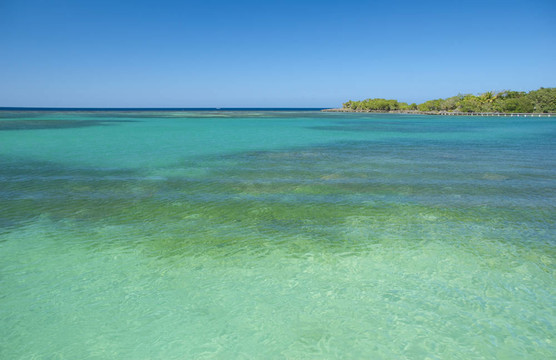 海灘和綠松石水