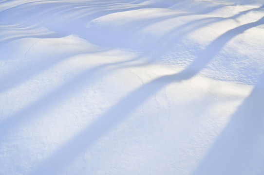 雪景