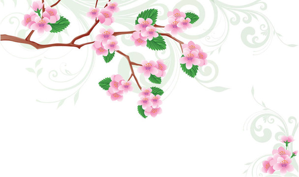 春花櫻花。