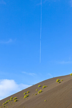 稀疏的植被在蒂曼法亞火山山國家公園