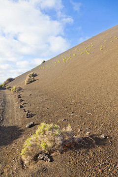 稀疏的植被在蒂曼法亞國家公園路線的火山