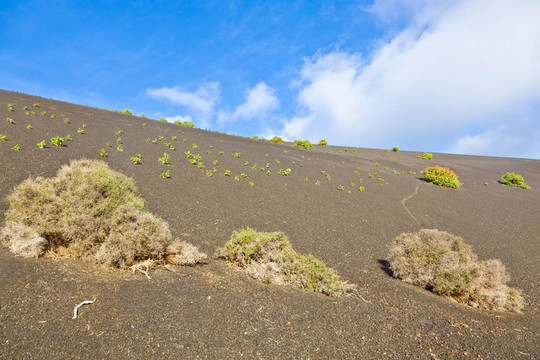 稀疏的植被在蒂曼法亞國(guó)家公園路線的火山