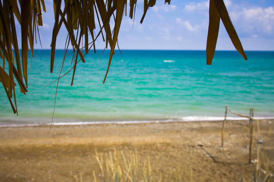 度假村tbeach