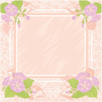 背景flowers Ipomoea