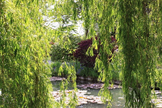 花園里的河流