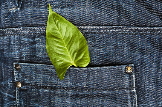 牛仔褲的口袋里