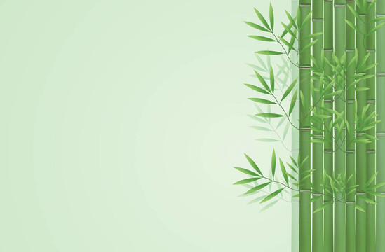 摘要竹背景