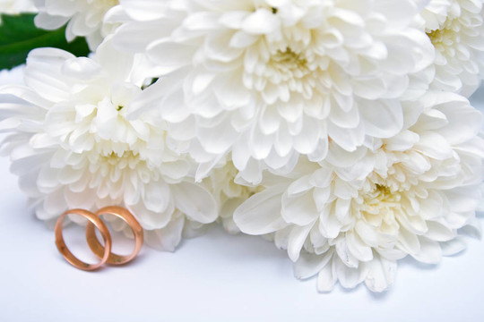 結(jié)婚戒指和白菊花2