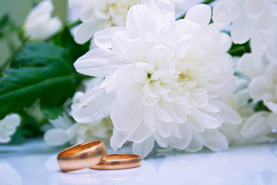 結(jié)婚戒指和白菊花