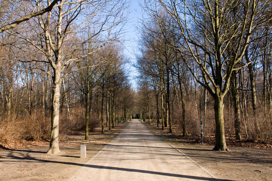 冬天的Tiergarten
