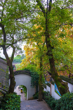 中式園林