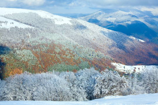 第一次冬季雪和高山山毛櫸森林