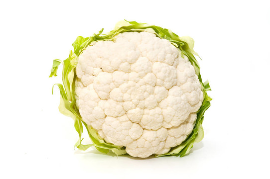 菜花生態(tài)
