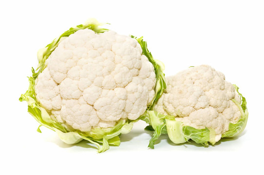 菜花生態(tài)