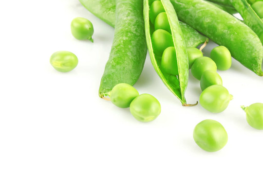 豆莢鮮綠豌豆