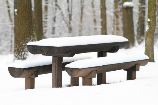 冬帶雪
