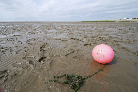 瓦登海