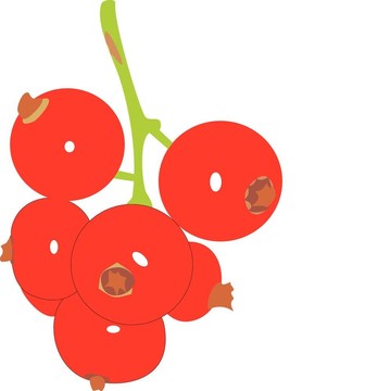 紅醋栗