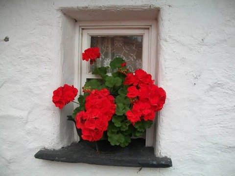 花窗