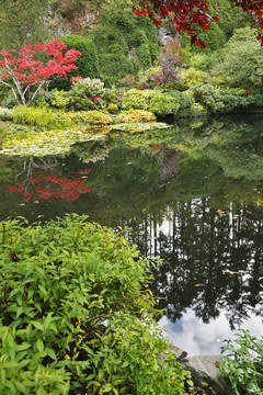 溫哥華島上的公園