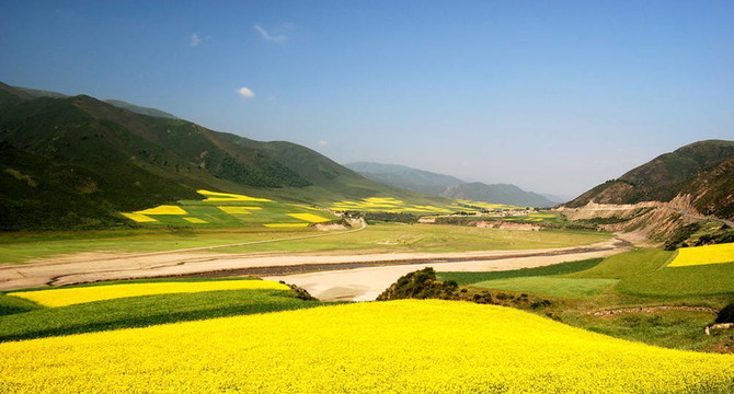 夏日里的油菜田
