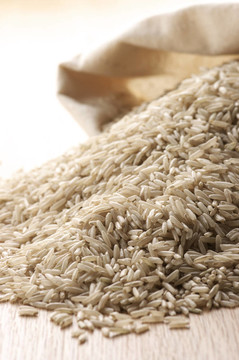 Brown rice在包里