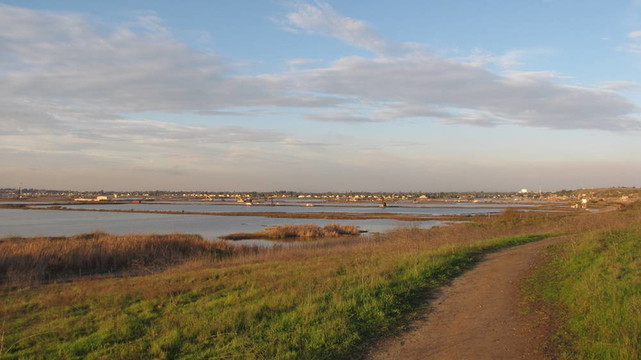 在公園4