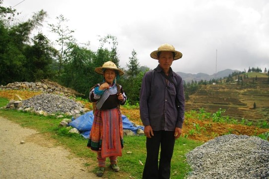 對(duì)苗族花種族