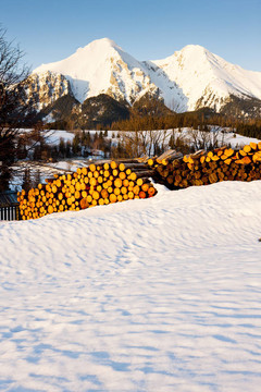 Belianske Tatry（Belianske Tatras）在斯洛伐克的冬天；
