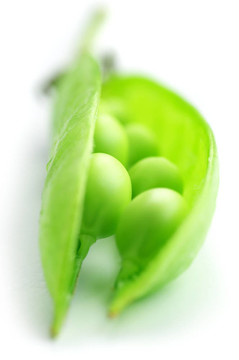 豌豆莢
