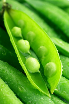 豌豆莢