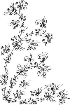 花的小插曲